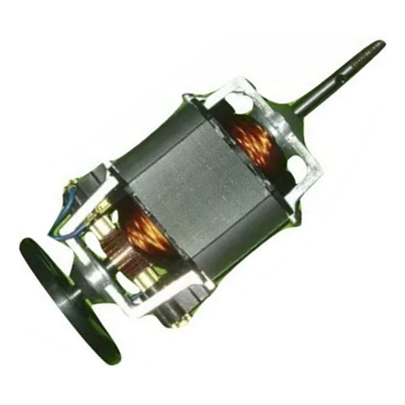Motor Ruleman Bordeadora 500w Repuesto Exahome Wimer Jardin