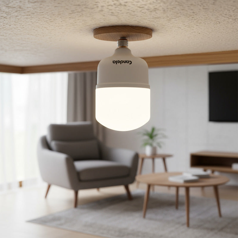 Lampara Led High Power  30w Fria Blanco Frío