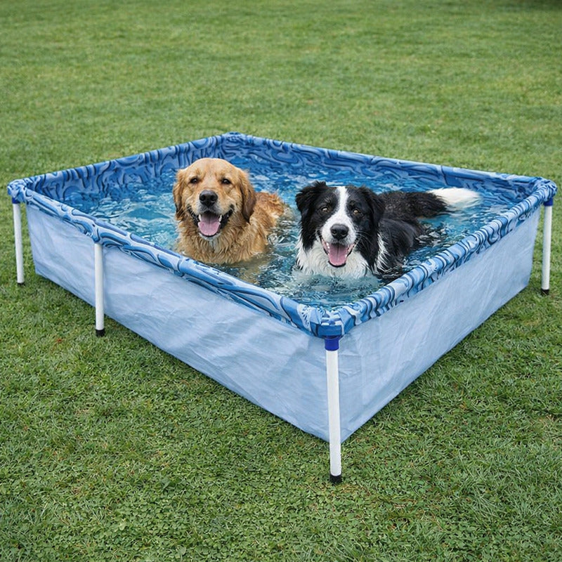 Pileta Estructural Rectangular Para Mascotas  189cm X 126cm Azul Claro 1000lts