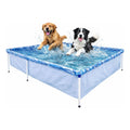 Pileta Estructural Rectangular Para Mascotas  189cm X 126cm Azul Claro 1000lts