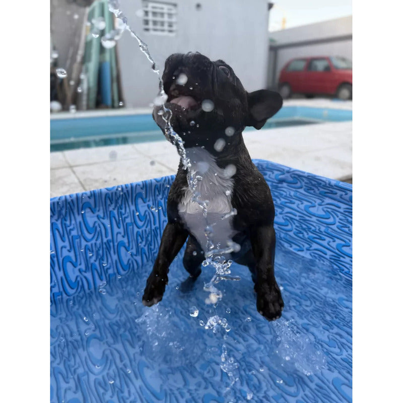 Pileta Para Mascotas Perro Gato Cachorro 106cm X 115cm