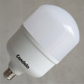 Lampara Led High Power  30w Fria Blanco Frío